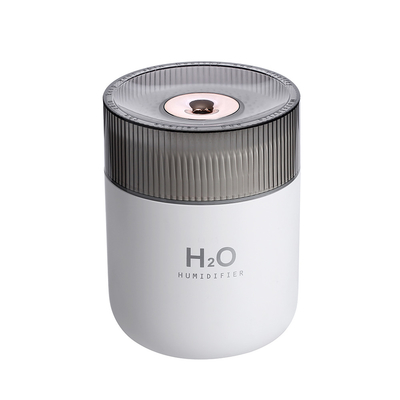 Van LEIDEN de Luchtluchtbevochtiger 380ml die Nacht Lichte USB het Kleine Koele Type C bespuiten van 40 Ml/H