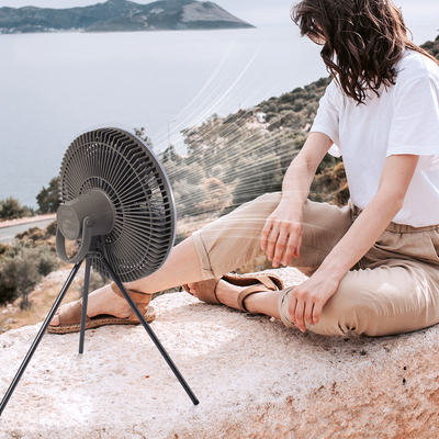 Batterij 10000mAh oplaadbare tafelventilator 12 inch lantaarn LED-tentlichtventilator