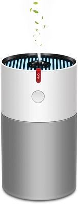 Draagbare Stille de Luchtluchtbevochtiger 220ml Mini Small Home Humidifiers van Desktopusb